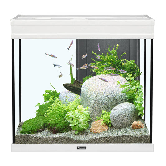 Aquarium Elegance Expert 60, Blanc, (27.5 gal)