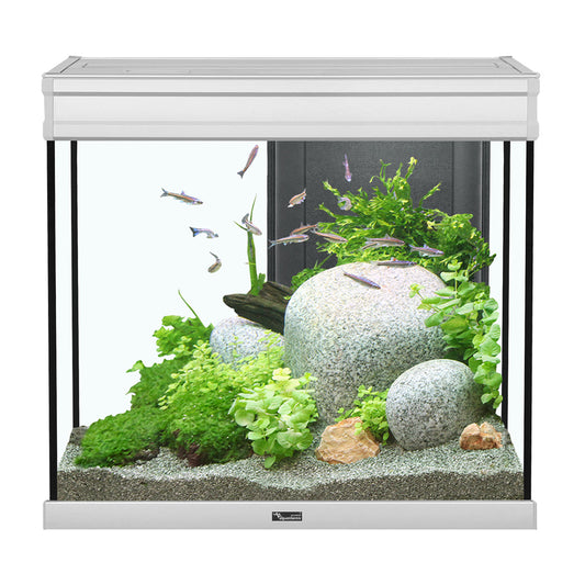 Aquarium Elegance Expert 60, Gris, (27.5 gal)