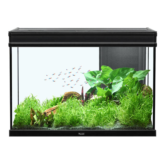 Aquarium Elegance Expert 80, Noir, (36.5 gal)