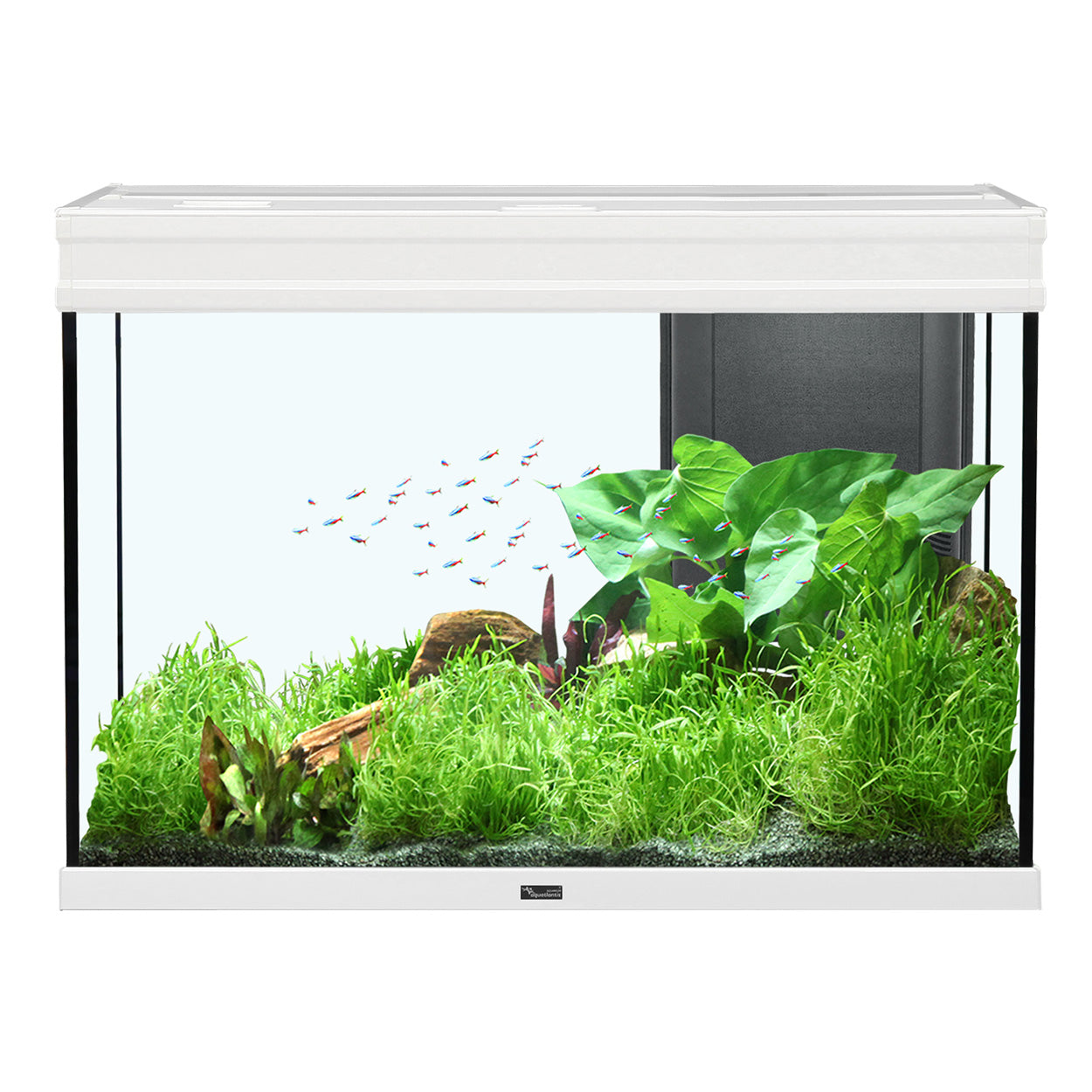 Aquarium Elegance Expert 80, Blanc, (36.5 gal)