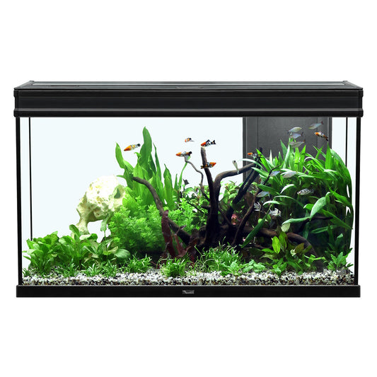 Aquarium Elegance Expert 100, Noir (51.5 gal)