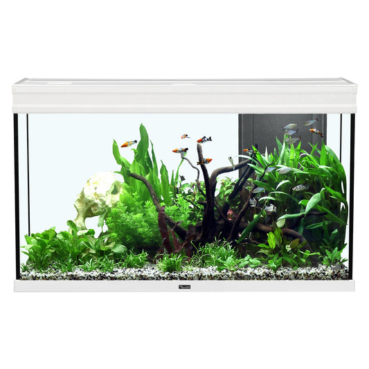 Aquarium Elegance Expert 100, Blanc, (51.5 gal)