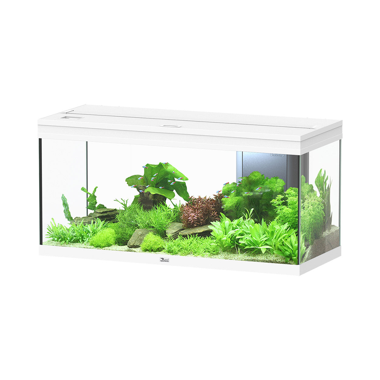 Volga 180 Aquarium - White Matte Finish - 47.5 gal