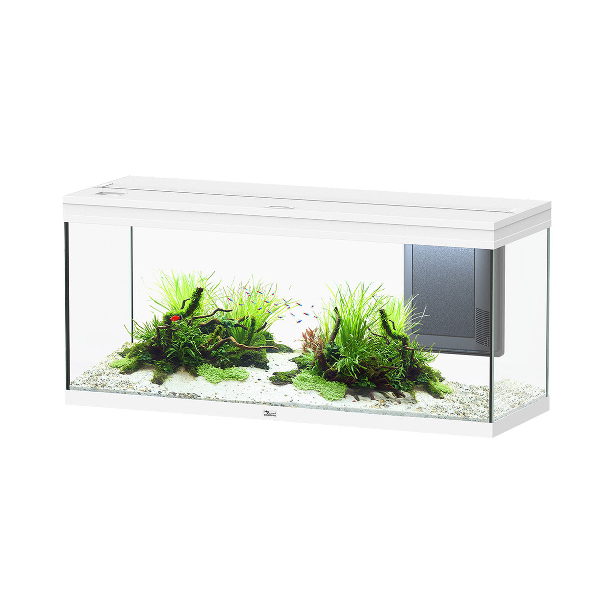 Volga 240 Aquarium - White Matte Finish - 63 gal