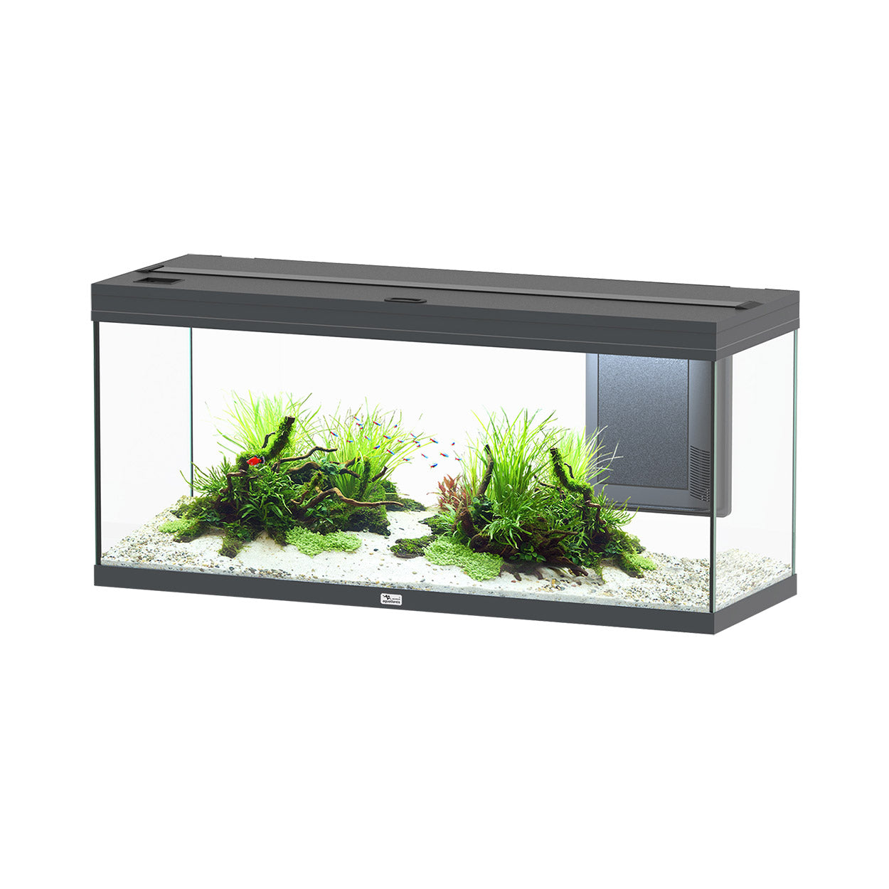 Volga 240 Aquarium - Vesuve Grey - 63 gal