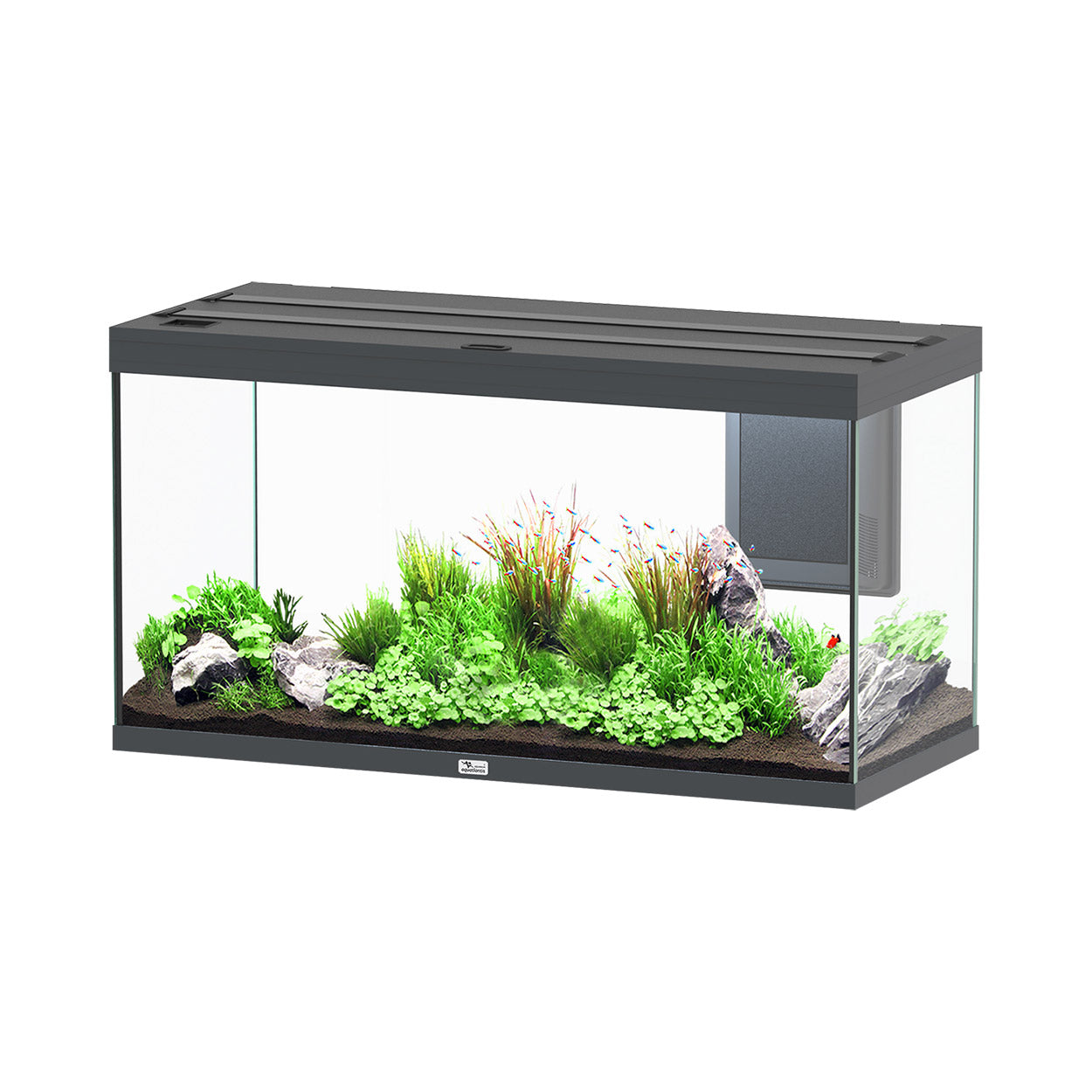 Volga 350 Aquarium - Vesuve Grey - 92 gal