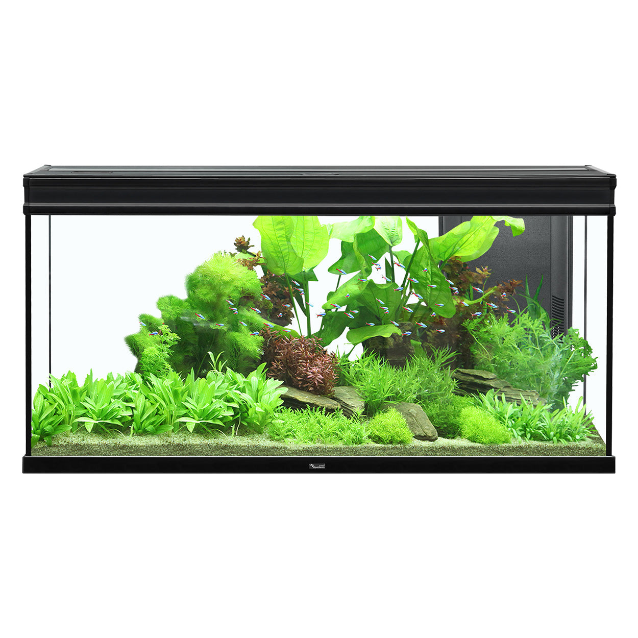 Aquarium Elegance Expert 120, Noir, (61 gal)