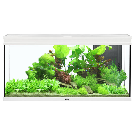 Aquarium Elegance Expert 120, Blanc (61 gal)