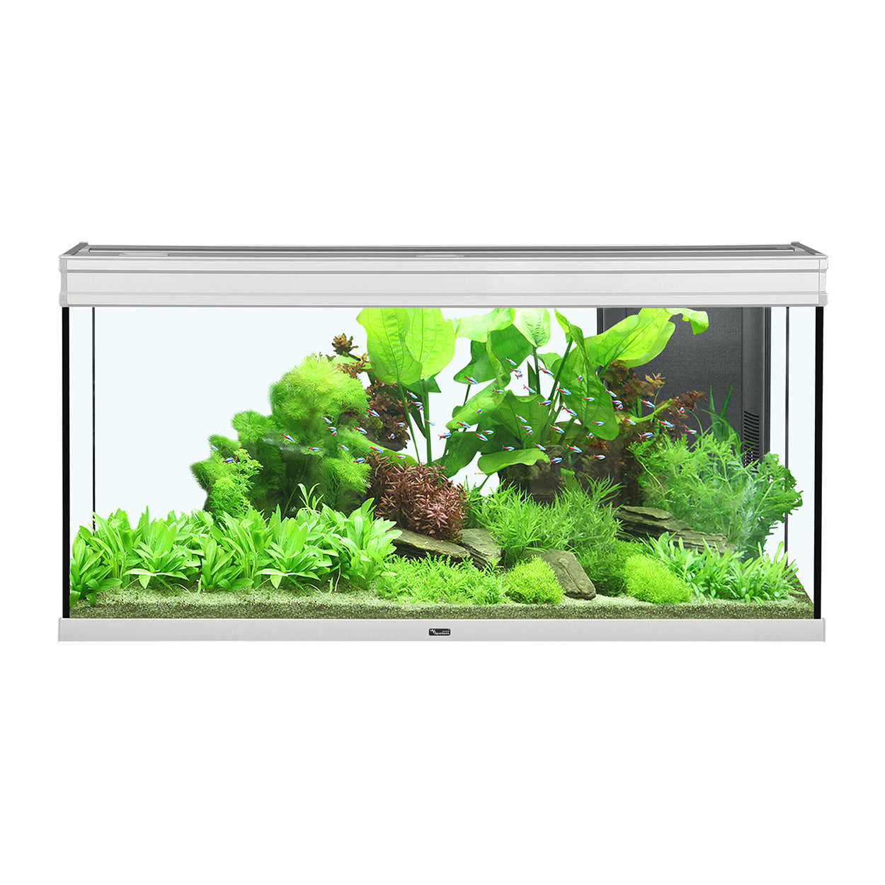 Aquarium Elegance Expert 120, Gris, (61 gal)